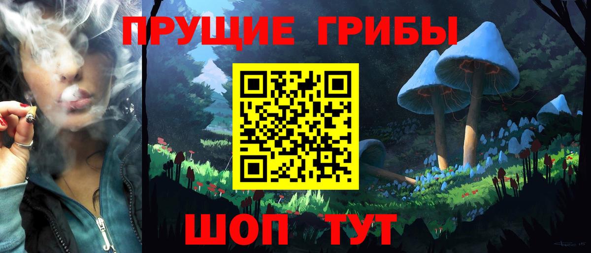 Бошки Шишки Архангельск